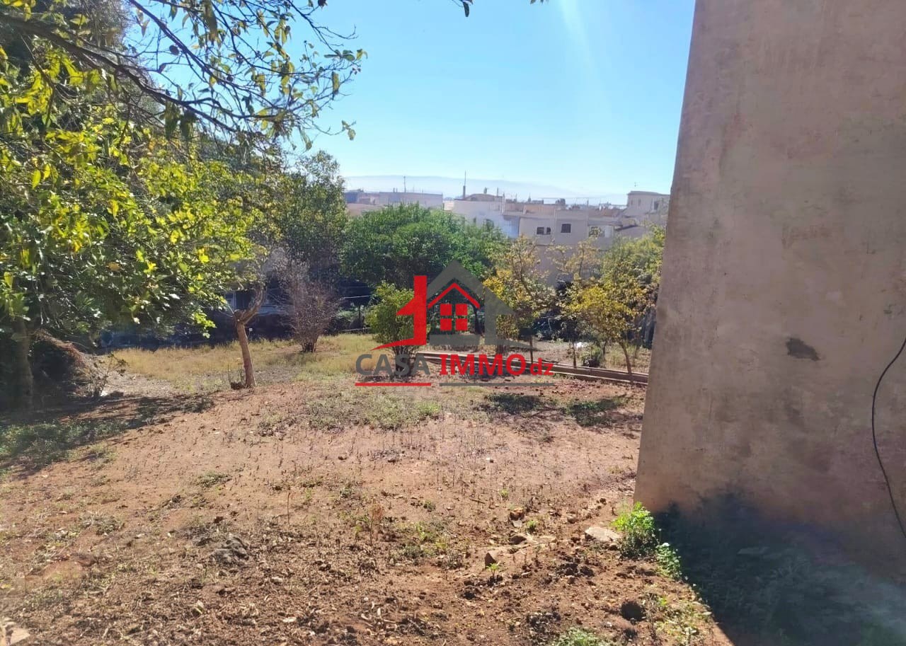 1783426740_03f0b19d-1 Terrain – El Biar, Alger