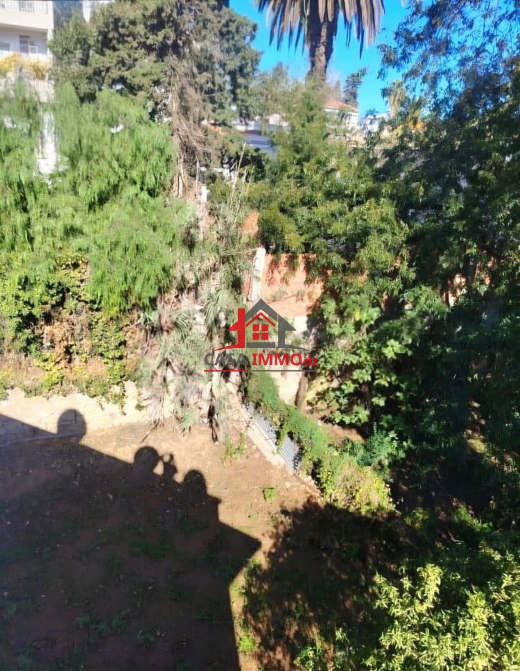 1783426742_34bef3f6-1 Terrain – El Biar, Alger