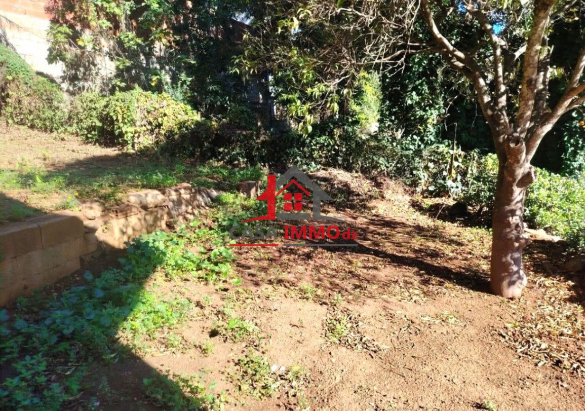 1783426744_a3a47fa8-1 Terrain – El Biar, Alger