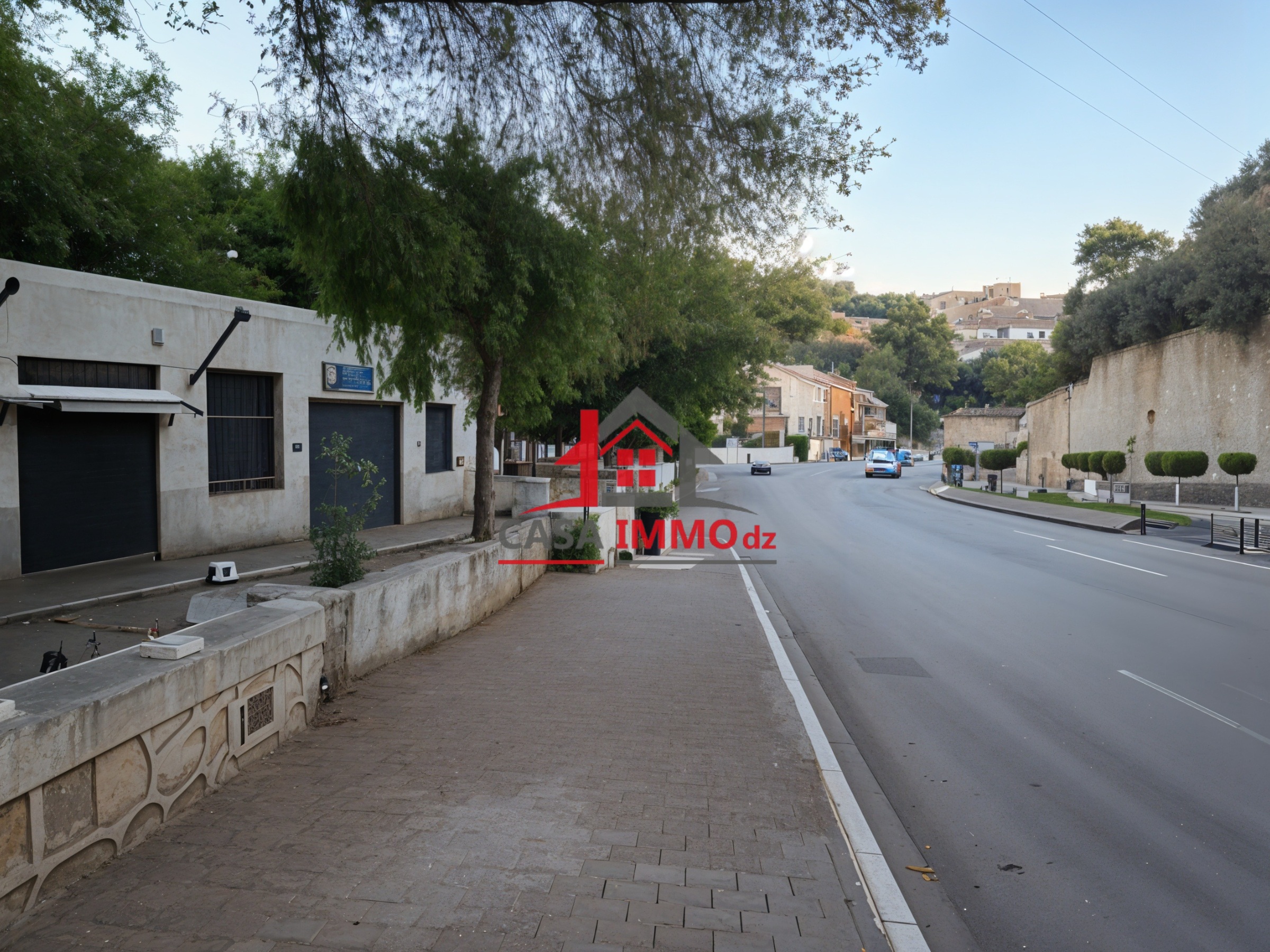 Local – Bab El Oued, Alger