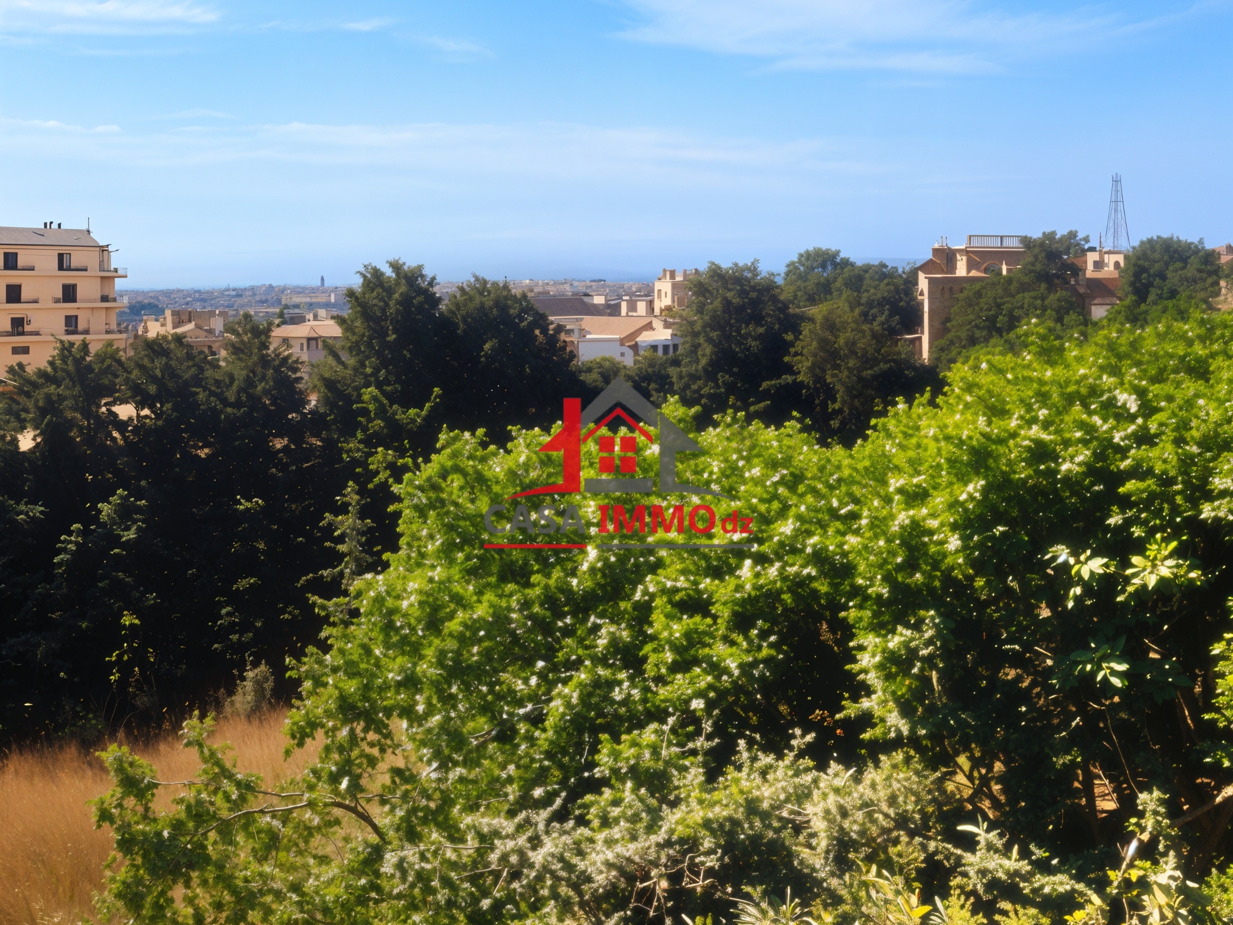 Terrain – Chéraga, Alger
