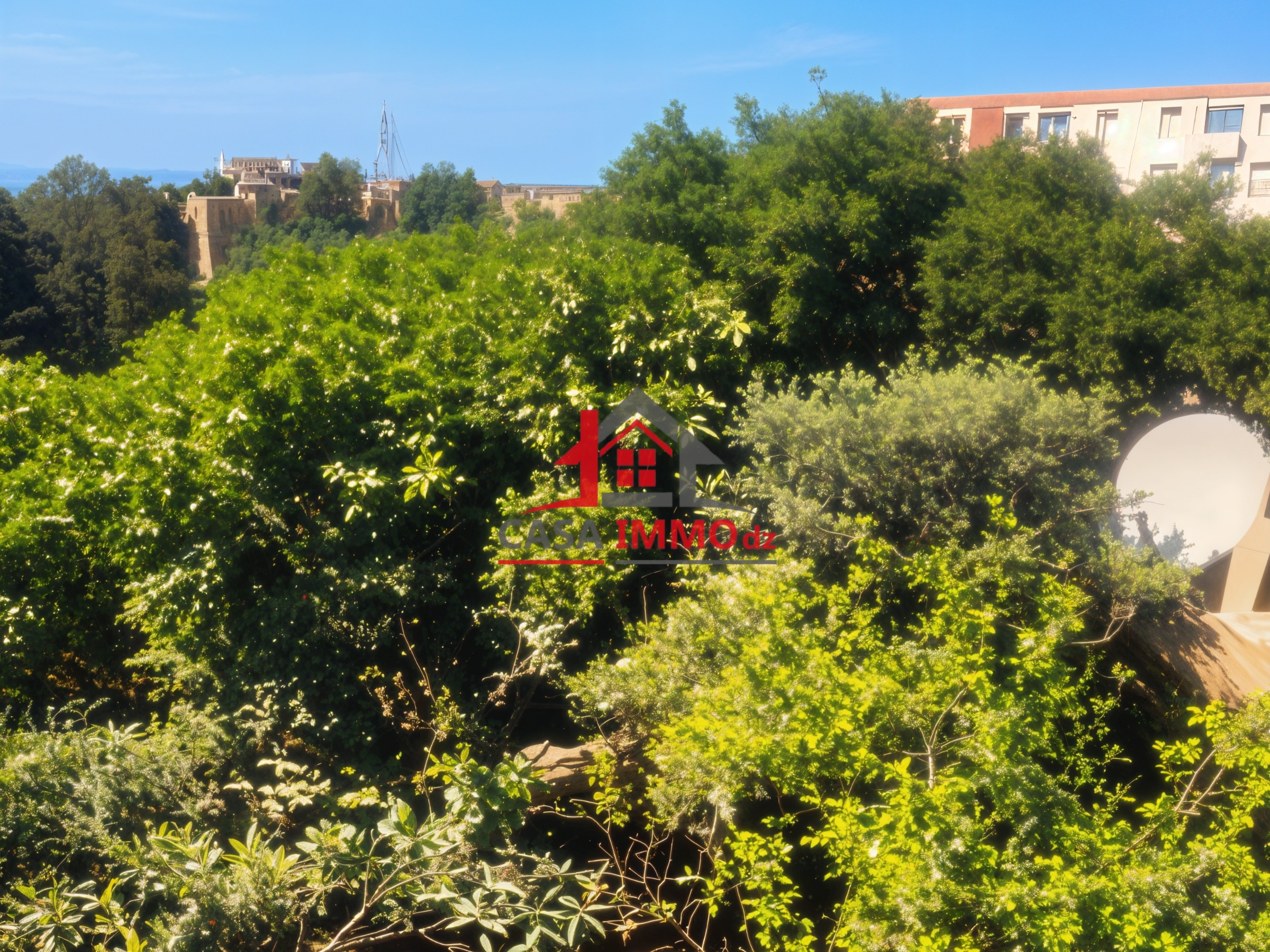 Terrain – Chéraga, Alger